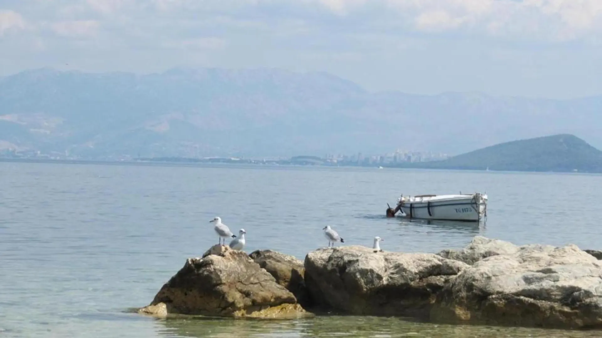 Spacious Apartment In Arbanija With Terrace Traù Croazia